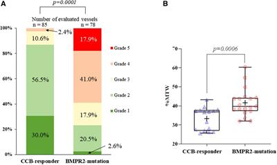 Case report: Pathological differences in pulmonary arterial hypertension in long-term responders to calcium channel blockers